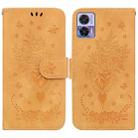 For Motorola Edge 30 Neo / Edge 30 Lite Butterfly Rose Embossed Leather Phone Case(Yellow) - 1