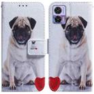 For Motorola Edge 30 Neo / Edge 30 Lite Coloured Drawing Leather Phone Case(Pug) - 1