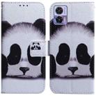 For Motorola Edge 30 Neo / Edge 30 Lite Coloured Drawing Leather Phone Case(Panda) - 1