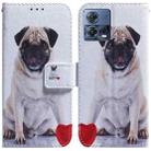 For Motorola Moto S30 Pro 5G / Edge 30 Fusion Coloured Drawing Leather Phone Case(Pug) - 1