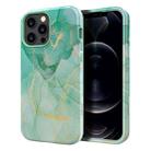 For iPhone 13 Pro Max Varnishing Water Stick TPU + Hard Plastic Phone Case(10030 Marble) - 1