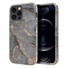 For iPhone 13 Pro Max Varnishing Water Stick TPU + Hard Plastic Phone Case(10028 Marble) - 1