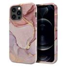 For iPhone 13 Pro Max Varnishing Water Stick TPU + Hard Plastic Phone Case(10033 Marble) - 1