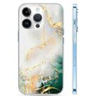 For iPhone 13 Pro Coloured Glaze Marble Phone Case(Grey Green) - 1