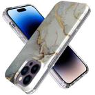 For iPhone 14 Pro Max Marble Pattern IMD Phone Case(P-GWL10039) - 1