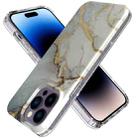 For iPhone 14 Pro Marble Pattern IMD Phone Case(P-GWL10039) - 1