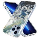For iPhone 13 Pro Max Marble Pattern IMD Phone Case(P-GWL10105) - 1