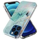 For iPhone 13 Pro Marble Pattern IMD Phone Case(P-GWL10017) - 1