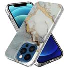 For iPhone 13 Pro Marble Pattern IMD Phone Case(P-GWL10039) - 1