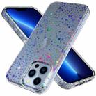 For iPhone 13 Pro Max Laser IMD Phone Case(GWL041BL Star) - 1