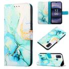 For Nokia G11 Plus PT003 Marble Pattern Flip Leather Phone Case(Green LS003) - 1