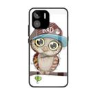 For Xiaomi Redmi A1 4G Colorful Painted Glass Phone Case(Owl) - 1