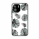 For Xiaomi Redmi A1 4G Colorful Painted Glass Phone Case(Banana Leaf) - 1
