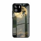 For Xiaomi Redmi A1 4G Colorful Painted Glass Phone Case(Moon) - 1