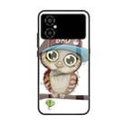 For Xiaomi Poco M4 Colorful Painted Glass Phone Case(Owl) - 1