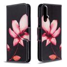 For Huawei Honor 20S Colored Drawing Horizontal Flip Leather Case with Holder & Card Slots & Wallet(Lotus) - 1