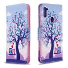 For Galaxy A11 Colored Drawing Horizontal Flip Leather Case with Holder & Card Slots & Wallet(Two Owls) - 1