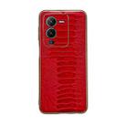 For vivo S15 5G Genuine Leather Weilai Series Nano Plating Phone Case(Red) - 1