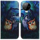 For Infinix Note 12 Pro 4G Coloured Drawing Horizontal Flip Leather Phone Case(Oil Painting Owl) - 1
