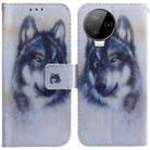 For Infinix Note 12 Pro 4G Coloured Drawing Horizontal Flip Leather Phone Case(White Wolf) - 1