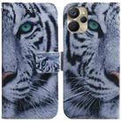 For Realme 9i 5G Coloured Drawing Horizontal Flip Leather Phone Case(Tiger) - 1