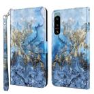 For Sony Xperia 5 IV 3D Painting Pattern TPU + PU Phone Case(Milky Way) - 1