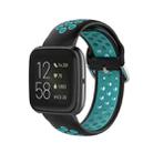 For Fitbit Versa 2 / Versa / Versa Lite 23mm Clasp Two Color Sport Watch Band(Black + Mint Green) - 1