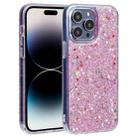 For iPhone 14 Pro DFANS DESIGN Starlight Shining TPU+PC Phone Case(Pink) - 1