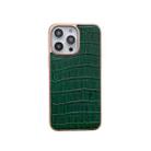 For iPhone 14 Pro Nano Electroplating Crocodile Texture Genuine Leather Phone Case(Green) - 1