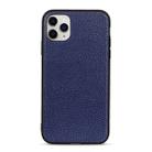 For iPhone 11 Pro Max Litchi Texture Genuine Leather Folding Protective Case(Blue) - 1