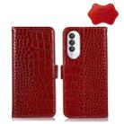 For Xiaomi Redmi A1+ Crocodile Top Layer Cowhide Leather Phone Case(Red) - 1