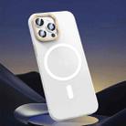 For iPhone 14 Pro Magsafe Magnetic Crystal Frosted Series Phone Case(Translucent White) - 1