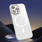 For iPhone 14 Pro Max Magsafe Magnetic Crystal Frosted Series Phone Case(Translucent White) - 1