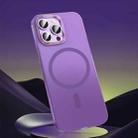 For iPhone 11 Pro Magsafe Magnetic Crystal Frosted Series Phone Case(Translucent Purple) - 1