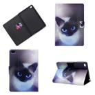 For iPad mini  2 / 3 / 4 / 5 Horizontal Painted Flat Leather Case with Sleep Function & Pen Cover & Card Slot & Holder(Blue Eyed Cat) - 1