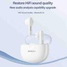Lenovo LP1 Pro TWS Wireless Bluetooth Waterproof Sport Noise Reduction Earphone(Pink) - 4