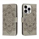 For iPhone 14 Pro Sun Mandala Embossing Leather Phone Case(Grey) - 1