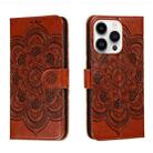 For iPhone 14 Pro Sun Mandala Embossing Leather Phone Case(Brown) - 1