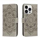 For iPhone 14 Pro Max Sun Mandala Embossing Leather Phone Case(Grey) - 1