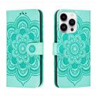 For iPhone 14 Pro Max Sun Mandala Embossing Leather Phone Case(Green) - 1