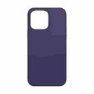 For iPhone 14 Pro TOTUDESIGN AA-148 Brilliant Series Shockproof Liquid Silicone Phone Case(Dark Purple) - 1