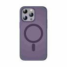 For iPhone 14 Pro TOTUDESIGN AA-178 Gingle Series Translucent Matte Magsafe Phone Case(Purple) - 1