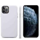 For iPhone 11 Pro Max Lamb Grain PU Back Cover Phone Case(White) - 1