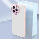For iPhone 12 Pro Max Charming Eye Series Lens Protector Skin Frosted Phone Case(Pink) - 1