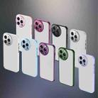 For iPhone 12 Pro Max Charming Eye Series Lens Protector Skin Frosted Phone Case(Sierra Blue) - 2