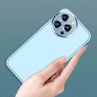 For iPhone 12 Pro Max Charming Eye Series Lens Protector Skin Frosted Phone Case(Sierra Blue) - 4