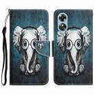 For OPPO A17 Colored Drawing Leather Phone Case(Earphone Elephant) - 1