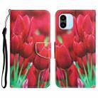 For Xiaomi Redmi A1 Colored Drawing Leather Phone Case(Tulips) - 1