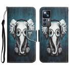 For Xiaomi 12T / 12T Pro / Redmi K50 Ultra Colored Drawing Leather Phone Case(Earphone Elephant) - 1