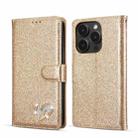 For iPhone 14 Pro Glitter Powder Love Leather Phone Case(Gold) - 1